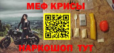 индика Камышлов