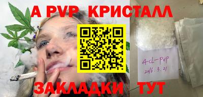 индика Камышлов