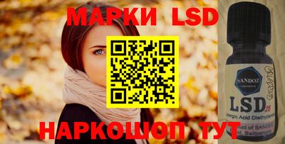 индика Камышлов