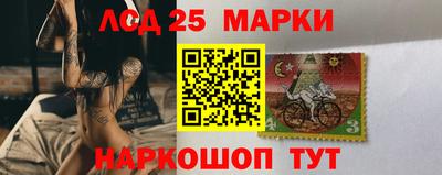индика Камышлов