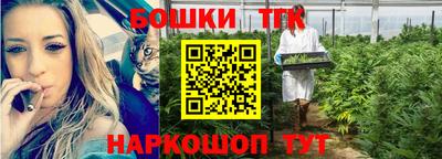 индика Камышлов