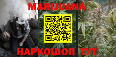 индика Камышлов