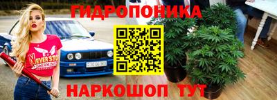 индика Камышлов