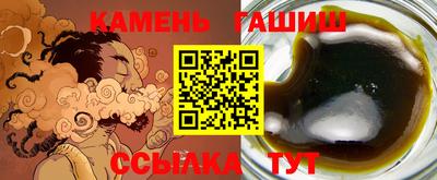 индика Камышлов